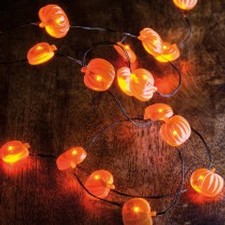 Pumpkin Wire Light Image