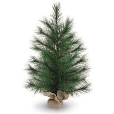 Small Pine Tree Image
