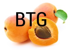 Apricot BTG Image
