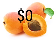 Keg Apricot Depletion