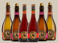 Cider Sipper 6 Pack
