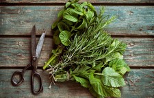 Create Your Own Cocktail Herb Garden