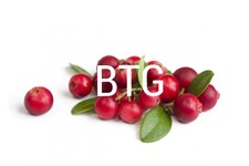 Spiced Cranberry BTG Image