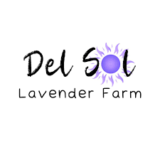 Diffuser Bracelet Class with Del Sol