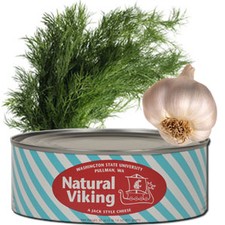 Cougar Gold Dill Garlic Cheese Image