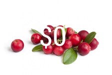 Keg Cranberry Depletion Image