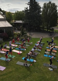 Haven Fitness in the Vineyard