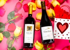 2 bottles of red wine | MY LOVE LANGUAGE IS WINE