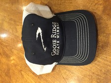 Navy Mesh Logo Hat Image