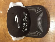Brown Mesh Logo Hat Image