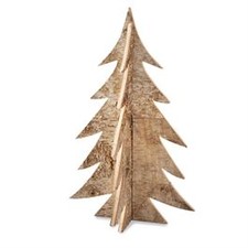 Large Birch Tree Image